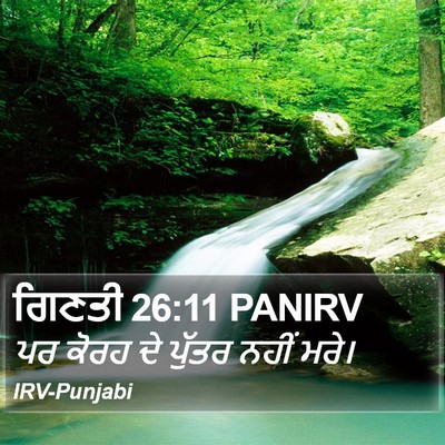 ਗਿਣਤੀ 26:11 PANIRV Bible Verse Image