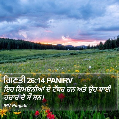 ਗਿਣਤੀ 26:14 PANIRV Bible Verse Image