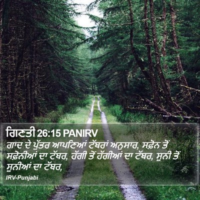 ਗਿਣਤੀ 26:15 PANIRV Bible Verse Image
