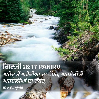 ਗਿਣਤੀ 26:17 PANIRV Bible Verse Image