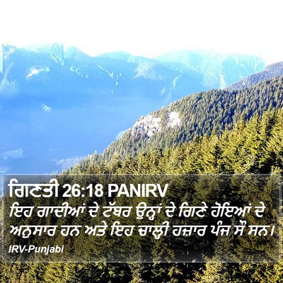 ਗਿਣਤੀ 26:18 PANIRV Bible Verse Image