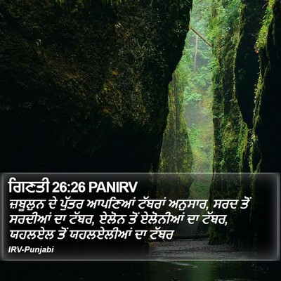 ਗਿਣਤੀ 26:26 PANIRV Bible Verse Image