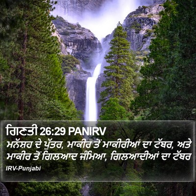 ਗਿਣਤੀ 26:29 PANIRV Bible Verse Image