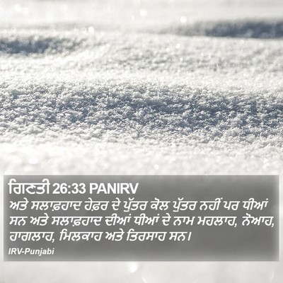 ਗਿਣਤੀ 26:33 PANIRV Bible Verse Image