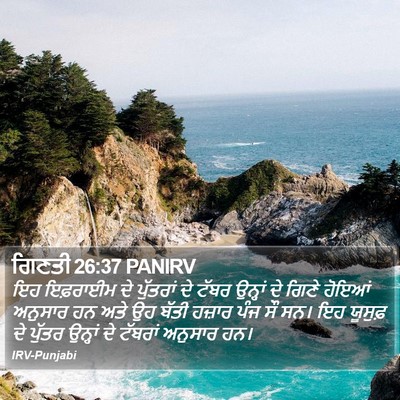 ਗਿਣਤੀ 26:37 PANIRV Bible Verse Image