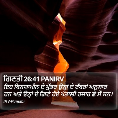 ਗਿਣਤੀ 26:41 PANIRV Bible Verse Image