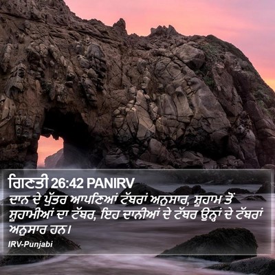 ਗਿਣਤੀ 26:42 PANIRV Bible Verse Image