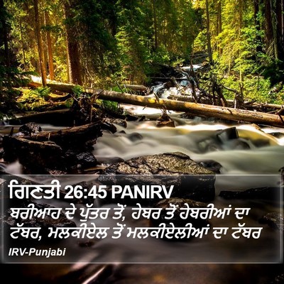 ਗਿਣਤੀ 26:45 PANIRV Bible Verse Image