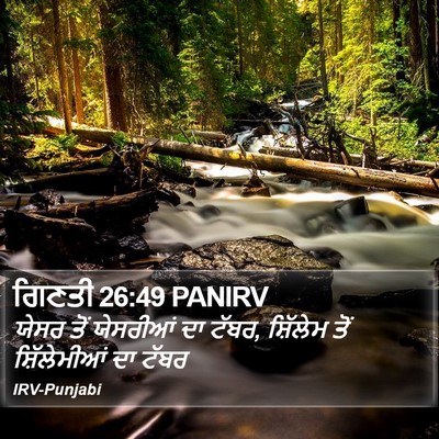 ਗਿਣਤੀ 26:49 PANIRV Bible Verse Image