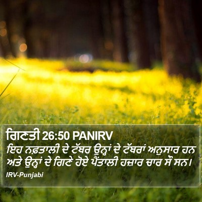 ਗਿਣਤੀ 26:50 PANIRV Bible Verse Image