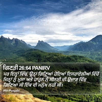 ਗਿਣਤੀ 26:64 PANIRV Bible Verse Image