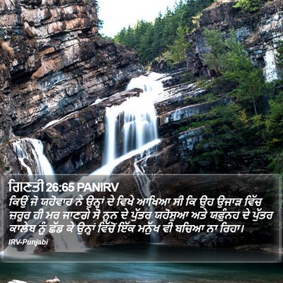 ਗਿਣਤੀ 26:65 PANIRV Bible Verse Image