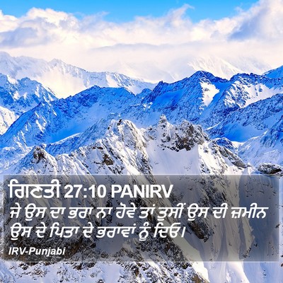 ਗਿਣਤੀ 27:10 PANIRV Bible Verse Image