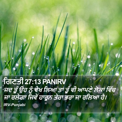ਗਿਣਤੀ 27:13 PANIRV Bible Verse Image