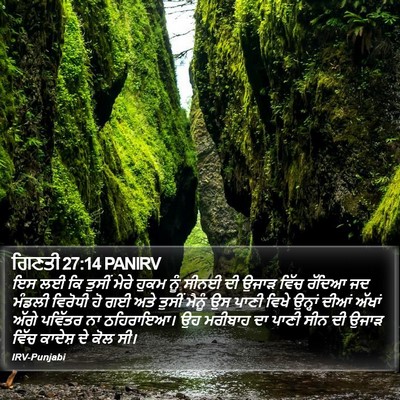 ਗਿਣਤੀ 27:14 PANIRV Bible Verse Image
