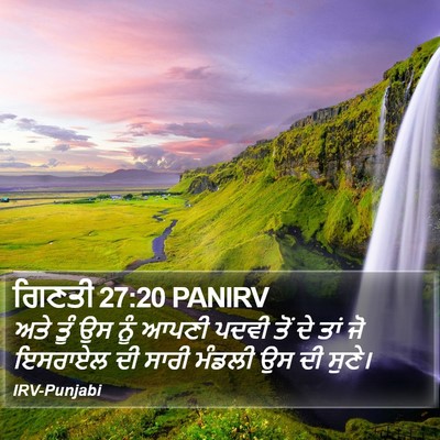 ਗਿਣਤੀ 27:20 PANIRV Bible Verse Image