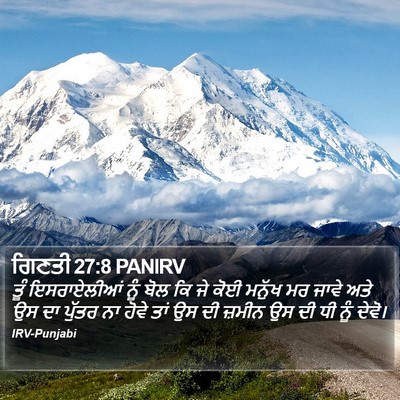 ਗਿਣਤੀ 27:8 PANIRV Bible Verse Image