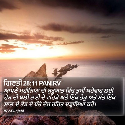 ਗਿਣਤੀ 28:11 PANIRV Bible Verse Image