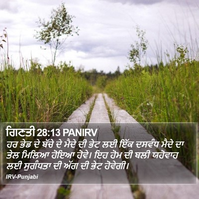 ਗਿਣਤੀ 28:13 PANIRV Bible Verse Image