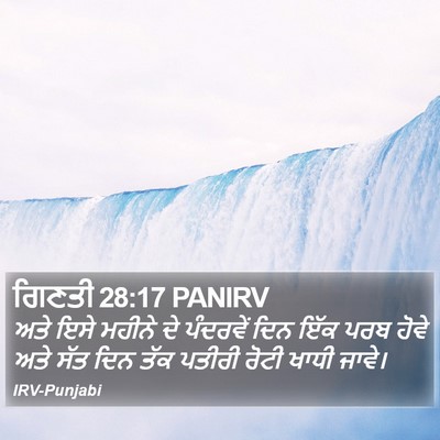 ਗਿਣਤੀ 28:17 PANIRV Bible Verse Image
