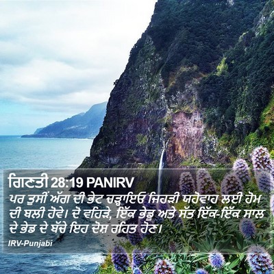 ਗਿਣਤੀ 28:19 PANIRV Bible Verse Image