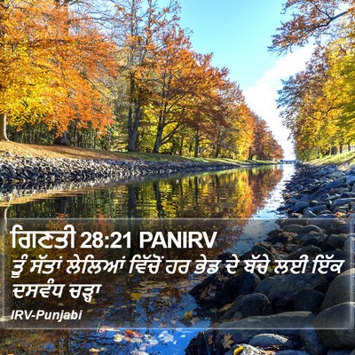 ਗਿਣਤੀ 28:21 PANIRV Bible Verse Image