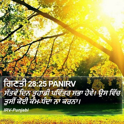 ਗਿਣਤੀ 28:25 PANIRV Bible Verse Image