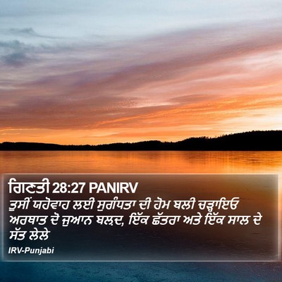 ਗਿਣਤੀ 28:27 PANIRV Bible Verse Image