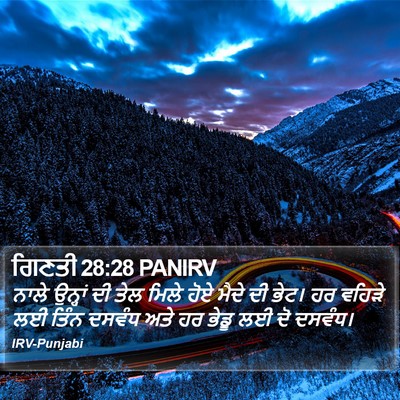 ਗਿਣਤੀ 28:28 PANIRV Bible Verse Image