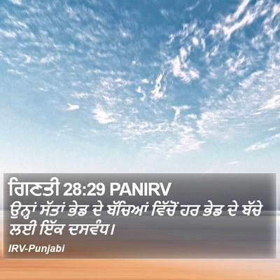 ਗਿਣਤੀ 28:29 PANIRV Bible Verse Image