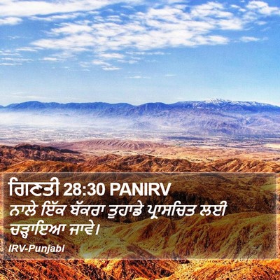 ਗਿਣਤੀ 28:30 PANIRV Bible Verse Image