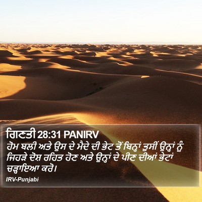 ਗਿਣਤੀ 28:31 PANIRV Bible Verse Image