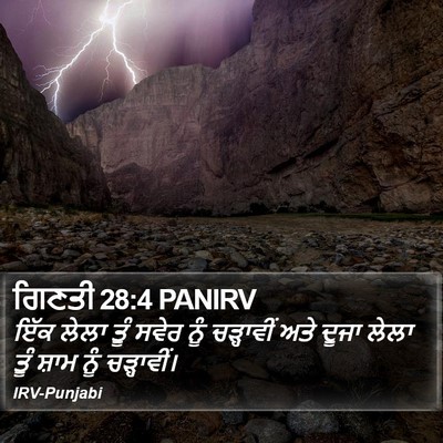 ਗਿਣਤੀ 28:4 PANIRV Bible Verse Image