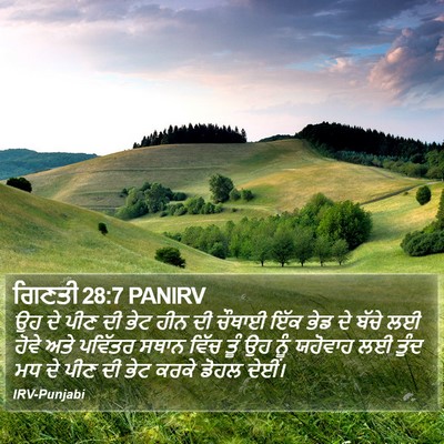 ਗਿਣਤੀ 28:7 PANIRV Bible Verse Image