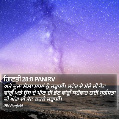 ਗਿਣਤੀ 28:8 PANIRV Bible Verse Image