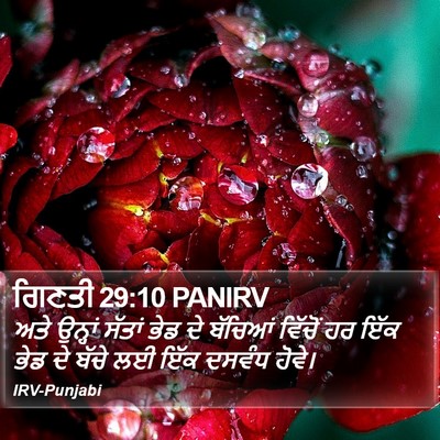 ਗਿਣਤੀ 29:10 PANIRV Bible Verse Image