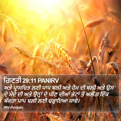 ਗਿਣਤੀ 29:11 PANIRV Bible Verse Image