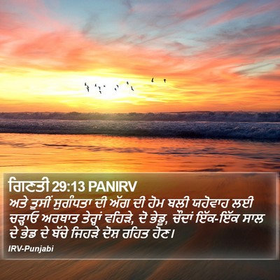 ਗਿਣਤੀ 29:13 PANIRV Bible Verse Image