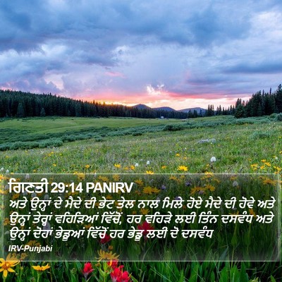 ਗਿਣਤੀ 29:14 PANIRV Bible Verse Image