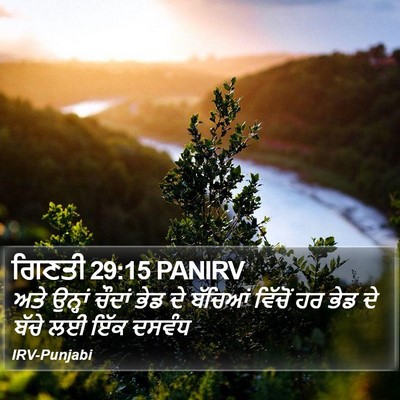 ਗਿਣਤੀ 29:15 PANIRV Bible Verse Image