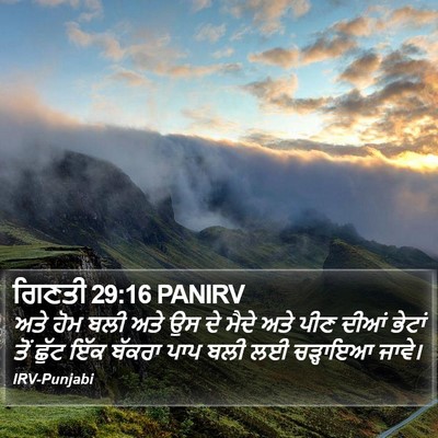 ਗਿਣਤੀ 29:16 PANIRV Bible Verse Image