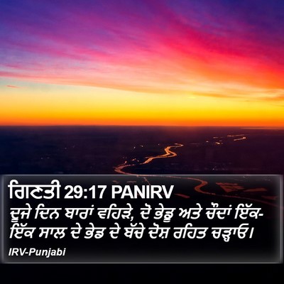 ਗਿਣਤੀ 29:17 PANIRV Bible Verse Image