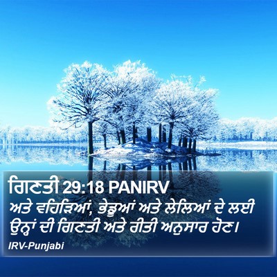 ਗਿਣਤੀ 29:18 PANIRV Bible Verse Image