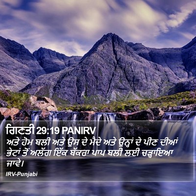 ਗਿਣਤੀ 29:19 PANIRV Bible Verse Image