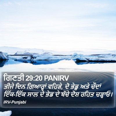 ਗਿਣਤੀ 29:20 PANIRV Bible Verse Image