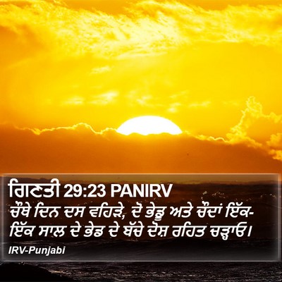 ਗਿਣਤੀ 29:23 PANIRV Bible Verse Image