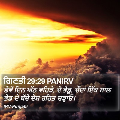 ਗਿਣਤੀ 29:29 PANIRV Bible Verse Image