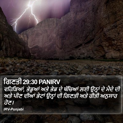 ਗਿਣਤੀ 29:30 PANIRV Bible Verse Image