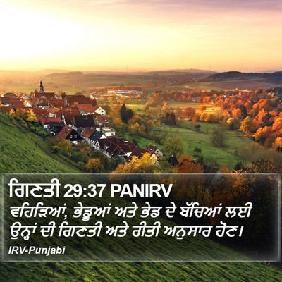 ਗਿਣਤੀ 29:37 PANIRV Bible Verse Image