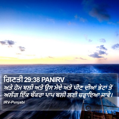 ਗਿਣਤੀ 29:38 PANIRV Bible Verse Image